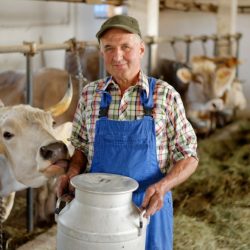 AdobeStock_54416073-1