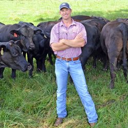 Matthew King says his herd calves between mid-October and the end of December. He is working to shorten that window to 60 days. (Progressive Farmer image by Victoria G. Myers)